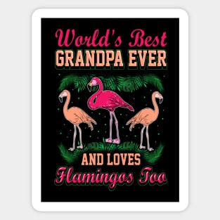 Best Grandpa Ever Love Flamingo Lover Sticker